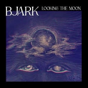 Looking the Moon