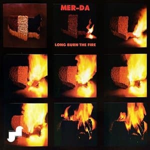 Long Burn The Fire
