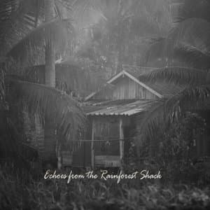 Echoes from the Rainforest Shack