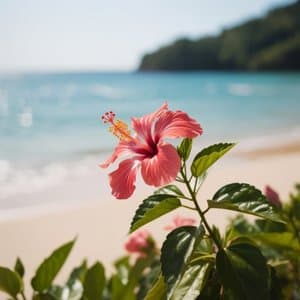 Summer Diaries