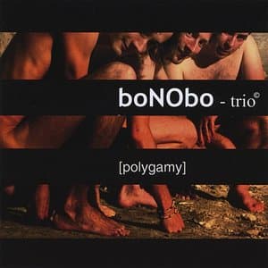 Polygamy
