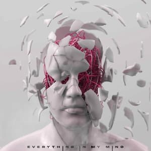 EVERYTHING IN MY MIND