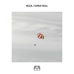Selfish Skies