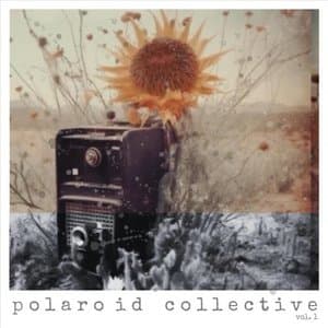 Polaroid Collective Vol. 1