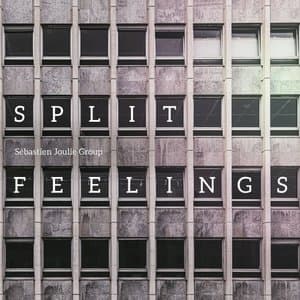 Split Feelings
