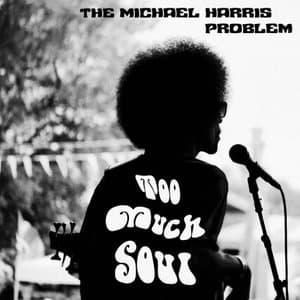 Too Much Soul