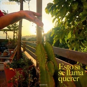 Esto Si Se Llama Querer