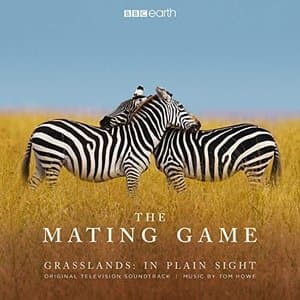 The Mating Game - Grasslands: In Plain Sight (Original Television Soundtrack)