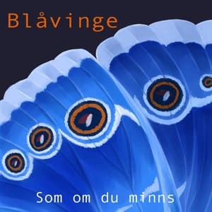 Som Om Du Minns