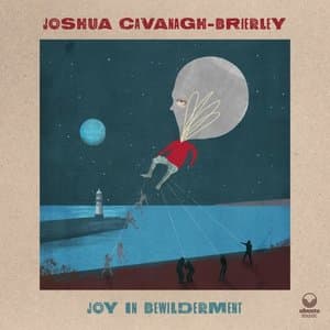 Joy in Bewilderment
