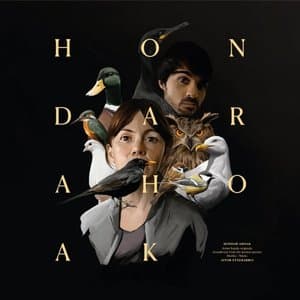 Hondar Ahoak