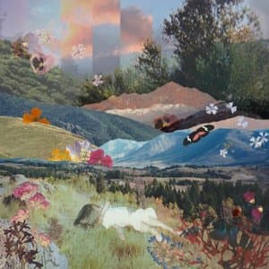 The Valley