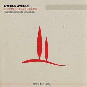 Cyprus Avenue (Masterlink Sessions)