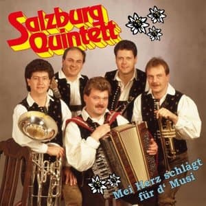 Mei Herz schlagt fur d Musi