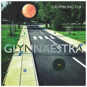 Glynnaestra
