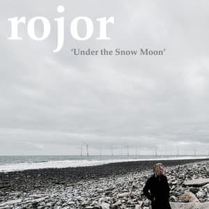Under The Snow Moon