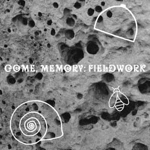 Come, Memory: Fieldwork