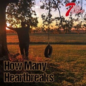 How Many Heartbreaks