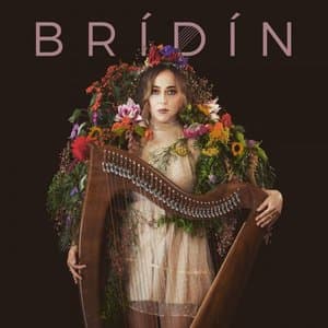 BRIDIN