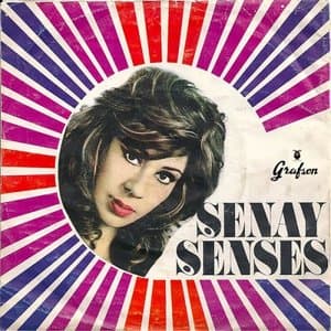 Grafsondan Senay Senses Klasikleri Vol. 2