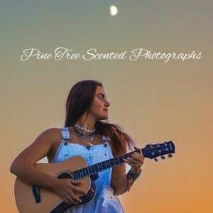 Pine Tree Scented Photographs