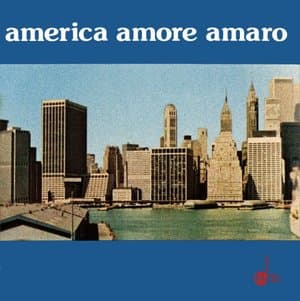 America amore amaro