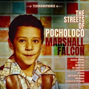 The Streets of Pocholoco