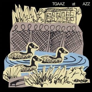 TGAAZ at AZZ