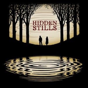 Hidden Stills