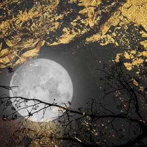 Secret Prayers to the Wise Dormant Moon