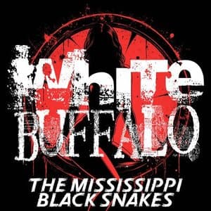 White Buffalo