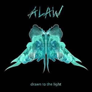Drawn to the Light