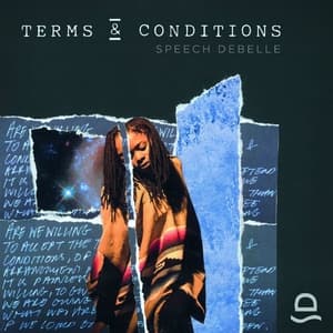 Terms and Conditions
