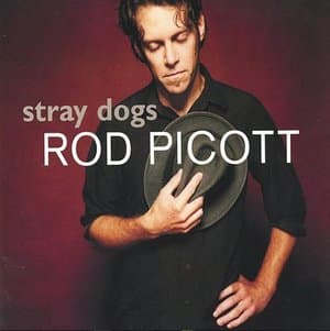 Stray Dog