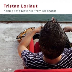 Keep a Safe Distance from Elephants