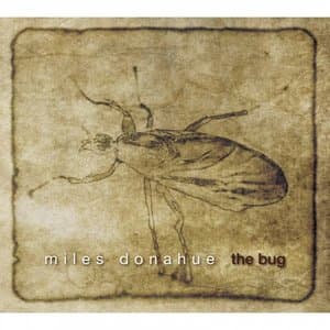 The Bug