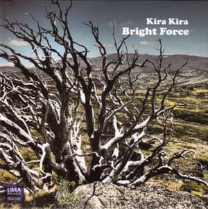 Bright Force