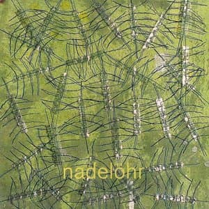 Nadelohr