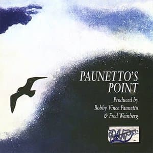 Paunettos Point