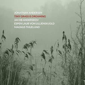Tiny Grass Is Dreaming