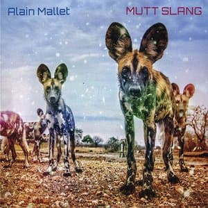 Mutt Slang