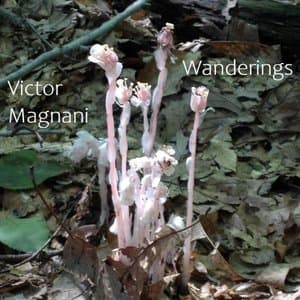 Wanderings