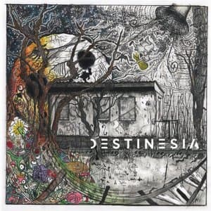 Destinesia