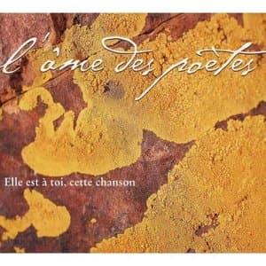 Elle est a toi, cette chanson