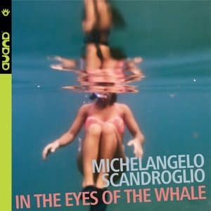 In the Eyes of the Whale