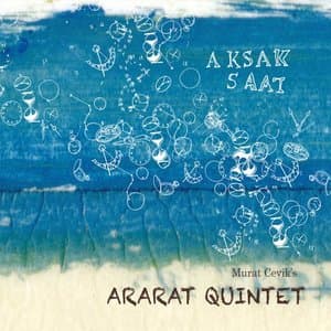 Aksak Saat
