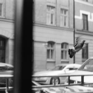 Flourish / Depart