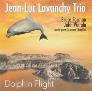 Dolphin flight