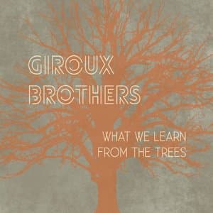 What We Learn from the Trees