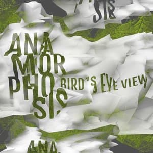 Birds Eye View